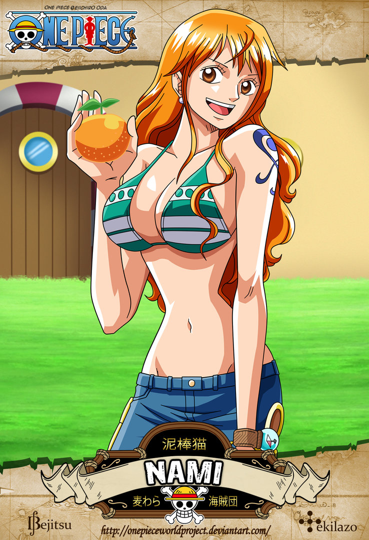 one_piece___nami_2014