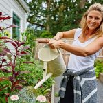 how to utilise space in tiny garden